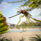 Illustration for article titled Flies in Amber Were Ancient Pollinatorsem/em